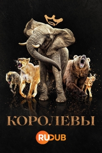 Королевы (2024)